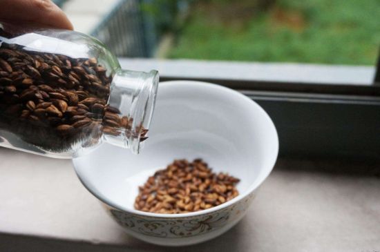 大麥茶上火嗎，喝大麥茶會不會上火？