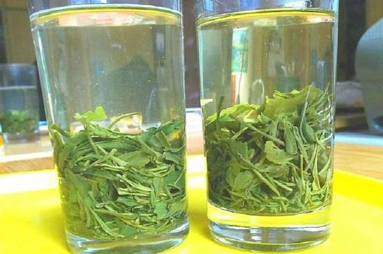 茶葉為什么不能亂送人，買茶葉一次送一盒還是兩盒