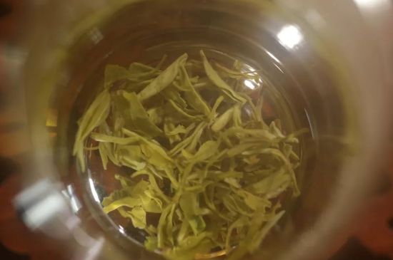 碧螺春正確泡法和飲用，碧螺春茶泡茶方法與溫度