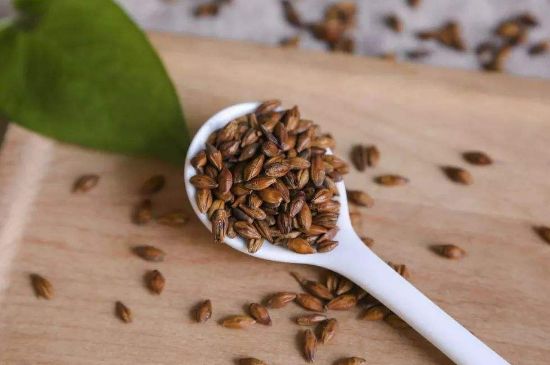 大麥茶上火嗎，喝大麥茶會不會上火？