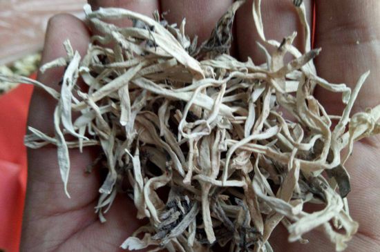 麗江雪茶的禁忌，白雪茶的副作用