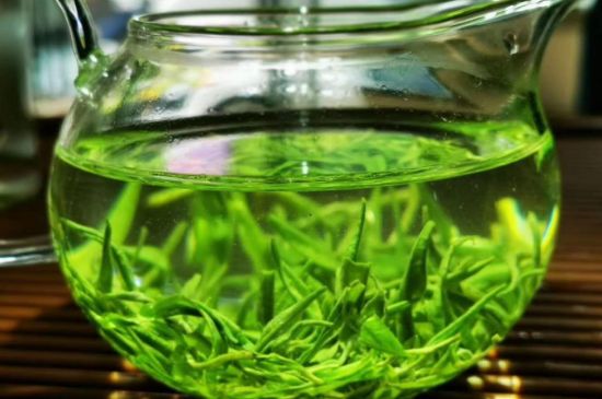 喝黃金茶禁忌，什么人不能喝黃金芽茶？