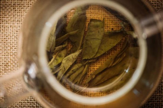 苦丁茶副作用，苦丁可以經(jīng)常喝嗎？