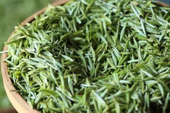 雀舌茶的沖泡方法，怎么沖泡雀舌茶？