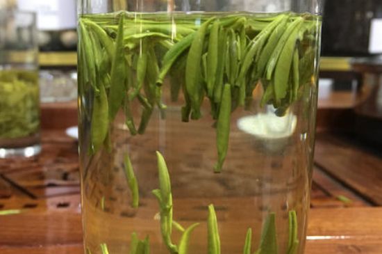 雀舌茶的副作用，雀舌茶什么人不能喝？