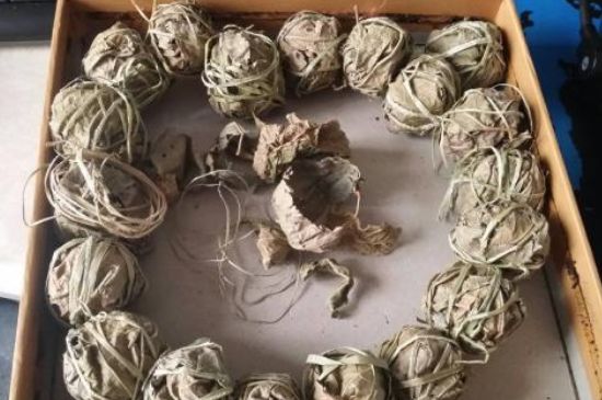 鷓鴣茶用拆開泡嗎，鷓鴣茶要解開繩子泡嗎