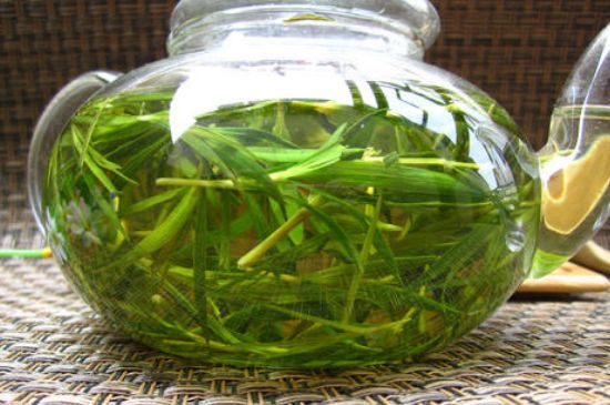 竹葉茶的禁忌，竹葉泡茶的功效禁忌