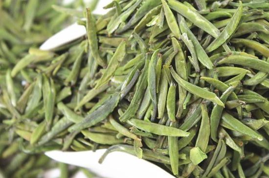 雀舌茶什么人不能喝，雀舌茶的功效與禁忌