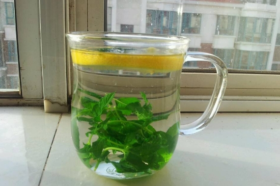 薄荷茶的功效與作用，喝薄荷茶有什么好處？