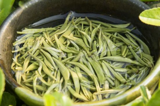 中國(guó)十大名茶背后的故事