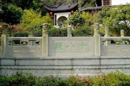 世界最貴的茶葉排行榜，十大最貴的茶