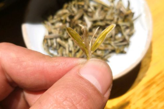 六大茶類哪種適合長(zhǎng)期存放，日常如何保存方法一覽？