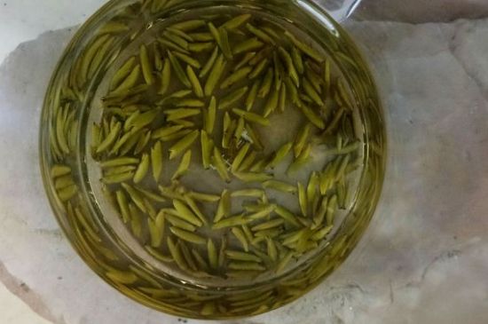 茶葉在哪里買比較好，哪里能買到好的茶葉