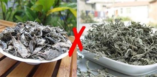 張家界茅巖莓茶與藤茶是同一種茶嗎，藤茶跟莓茶一不一樣？