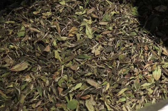 陳茶還是新茶好，茶葉是新茶好喝還是陳茶好喝