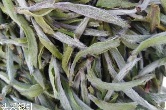 春茶季怎么辨別白毫銀針的好壞，好的白毫銀針如何選購？