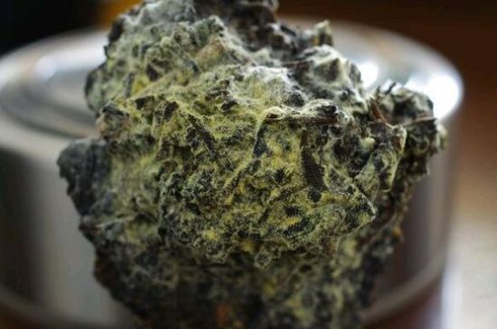 涇渭茯茶保質(zhì)期多久，陜西涇渭茯茶能放幾年