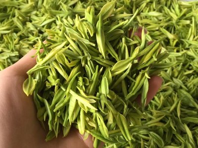 白茶品質(zhì)如何區(qū)分，白茶的優(yōu)劣質(zhì)量辨別方法