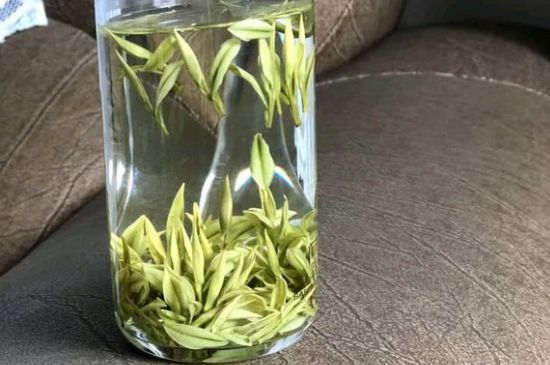 安吉白茶夏天怎么保存，安吉白茶能冷凍儲(chǔ)存嗎？