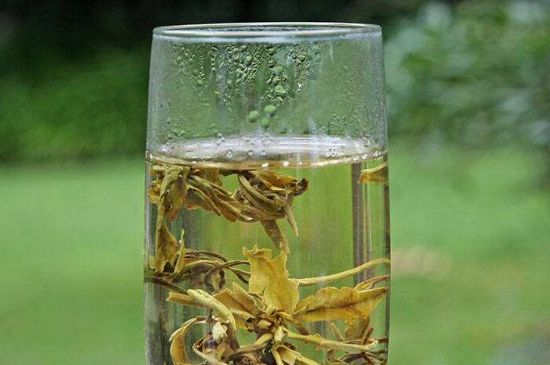 茉莉龍珠什么人不能喝，茉莉龍珠茶什么體質(zhì)不能喝？