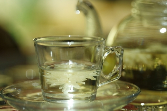 菊花茶天天喝行嗎，每天喝菊花泡茶喝好嗎？