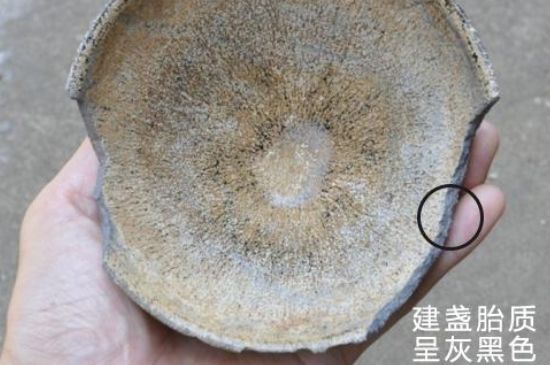 假建盞的特點(diǎn)，真假建盞區(qū)分帶圖