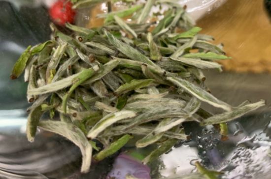 蒸汽煮茶器適合什么茶，蒸汽煮茶器適合用綠茶嗎？