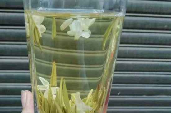 茉莉茶能天天喝嗎，茉莉花茶一周喝幾次