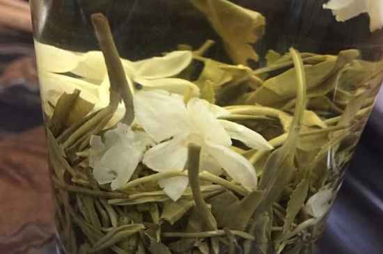 女孩喝茉莉茶的好處，茉莉茶葉的功效與禁忌