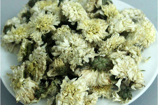 菊花茶買小朵還是大朵，泡茶用的小菊花和大菊花哪個(gè)好