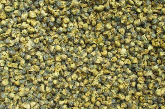 菊花茶大朵小朵有什么區(qū)別，菊花喝大朵還是小朵？