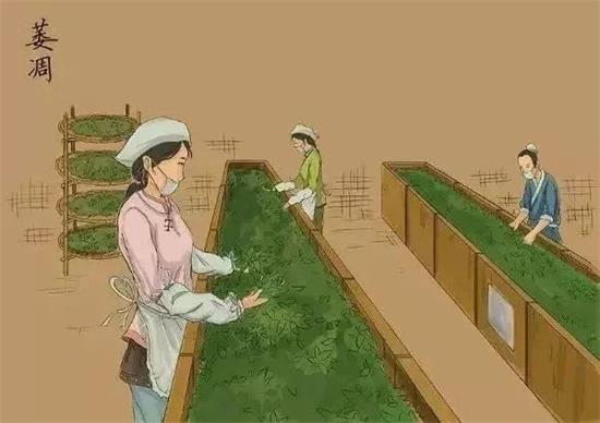 制茶八步驟，制茶工藝流程圖