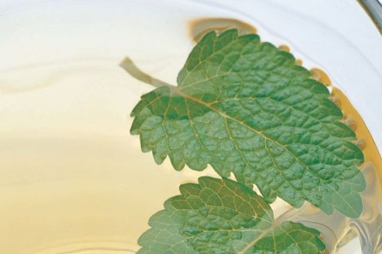 薄荷葉茶怎么制作，薄荷如何做成干茶葉