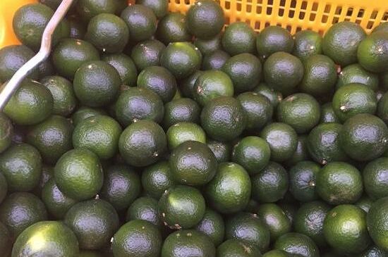 家庭自制柑普茶方法，小青柑制作9個(gè)步驟竅門(mén)（圖片）