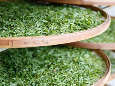 云南八大茶系分別是哪些，都是什么名字