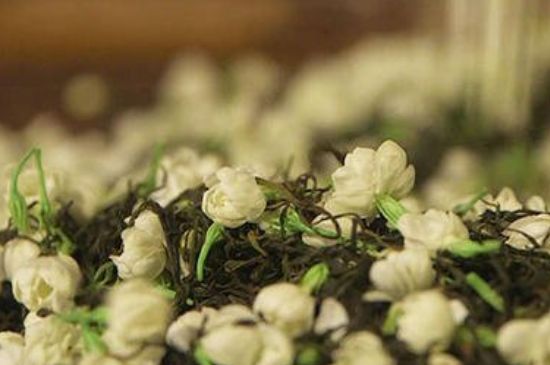 蒸茶器可以蒸花茶嗎，蒸茶器能用來蒸茉莉花茶嗎？