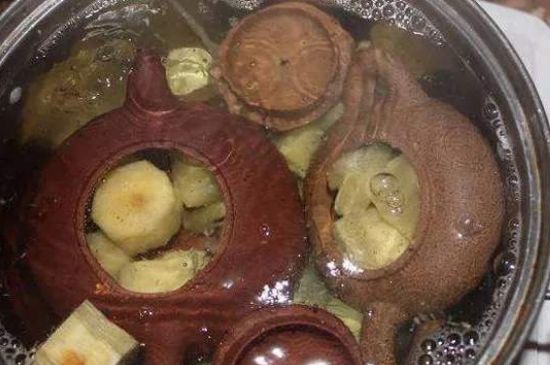 開壺放豆腐是錯誤的，新買的紫砂壺正確開壺建議