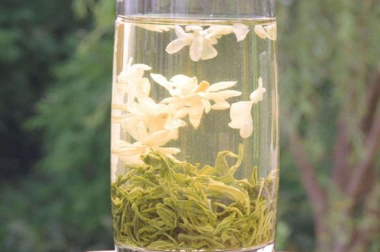 茉莉龍珠可以和什么一起泡茶，茉莉龍珠茶能加蜂蜜嗎？