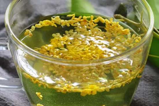 茉莉茶一次泡幾朵，茉莉茶放多少