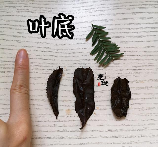 正山小種很細(xì)還很黑亮，正山小種越細(xì)越好嗎