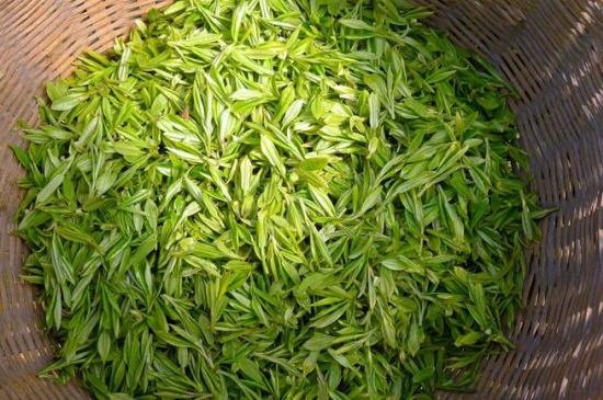 烏牛早和龍井的區(qū)別圖片，龍井43號和烏牛早茶的對比