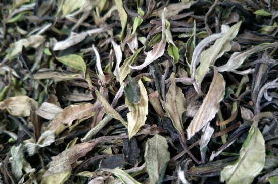 福鼎白茶貢眉和壽眉的區(qū)別，壽眉與貢眉有什么區(qū)別