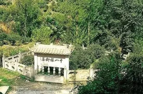 母樹大紅袍給誰(shuí)喝了，為什么母樹大紅袍叫三棵六株？