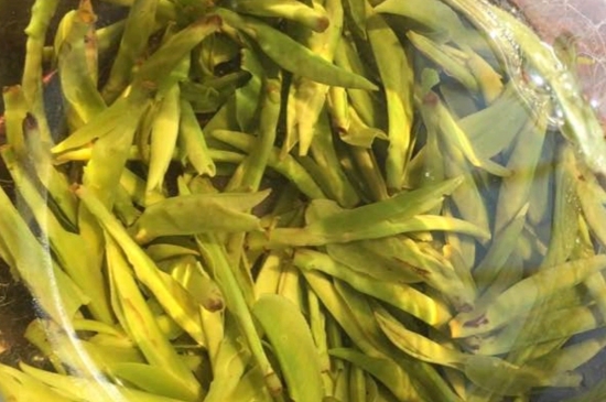 龍井是明前的好還是雨前的好，明前茶和雨前茶哪個(gè)好喝？