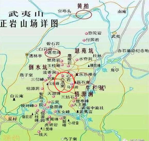 母樹大紅袍給誰(shuí)喝了，為什么母樹大紅袍叫三棵六株？