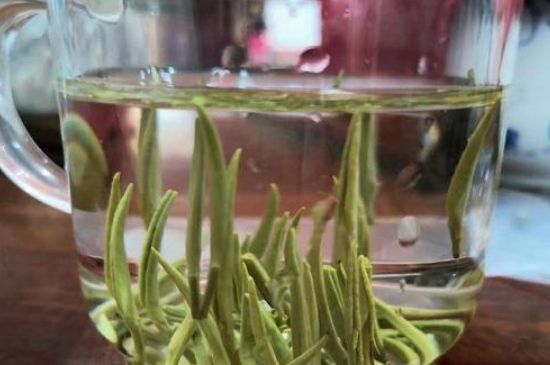 踏雪蘭妃是什么茶，踏雪蘭妃是哪里的茶葉?