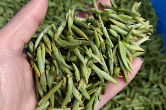 龍井茶好壞的鑒別圖片，如何區(qū)別龍井茶的好壞？