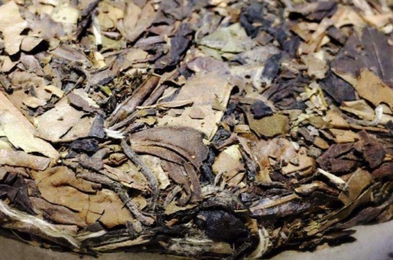 煮茶的步驟圖解，正確的煮白茶方法！