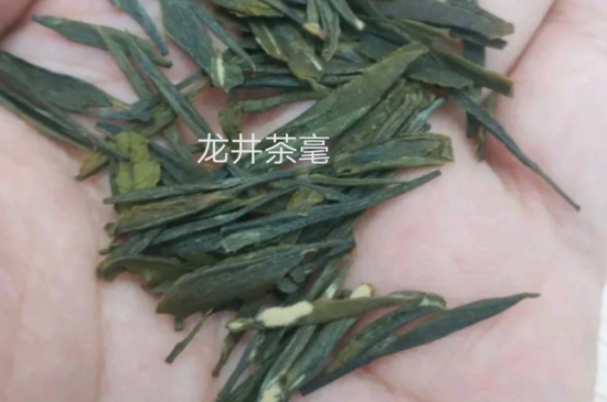 西湖龍井茶毫和發(fā)霉區(qū)別圖片，長霉的龍井茶葉會(huì)是什么樣？