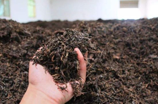 茯磚茶與普洱茶哪個(gè)好，茯茶和普洱茶口味區(qū)別